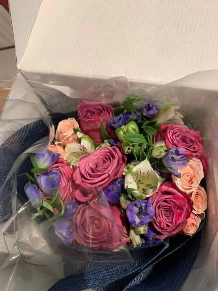 Photo of free Flower bouquet and pudding (Logan Circle) #2