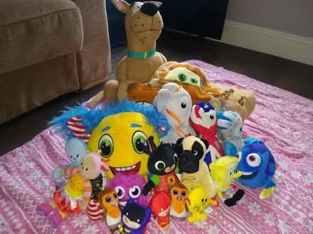Photo of free Soft toys (Sainsburys GL52) #1