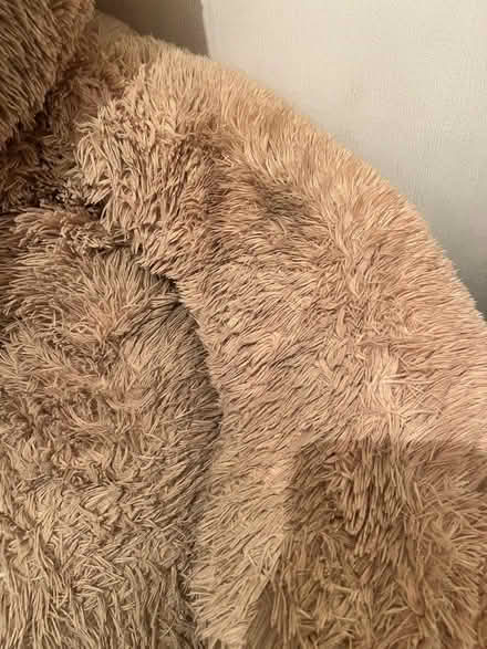 Photo of free Costco giant bear (Eltham SE9) #3