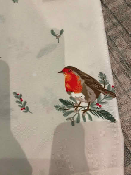 Photo of free Xmas table cloth serving plates (Burpham surrey) #1
