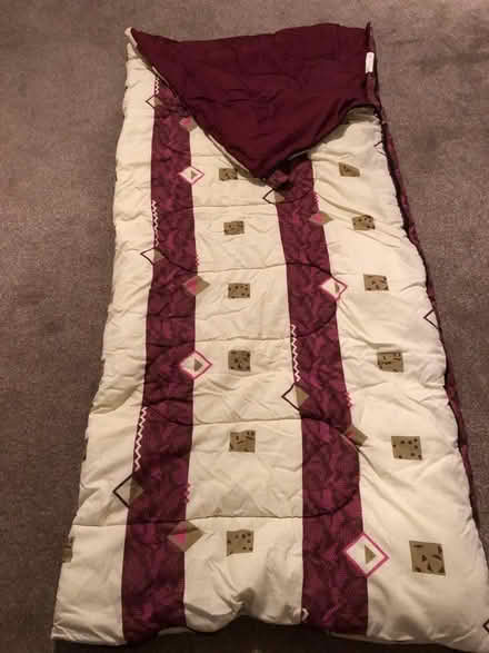 Photo of free Two sleeping bags or bed covers (IQ Winnersh RG41) #2
