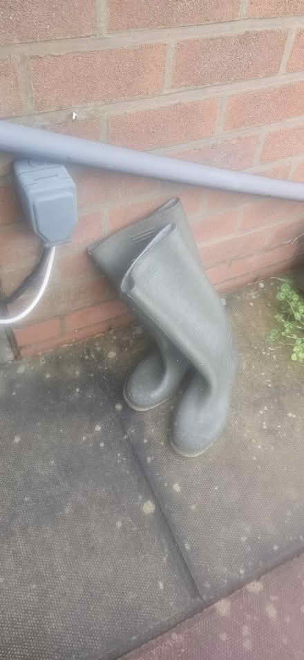 Photo of free Adult Size 10 wellies (Woodheys M33) #1