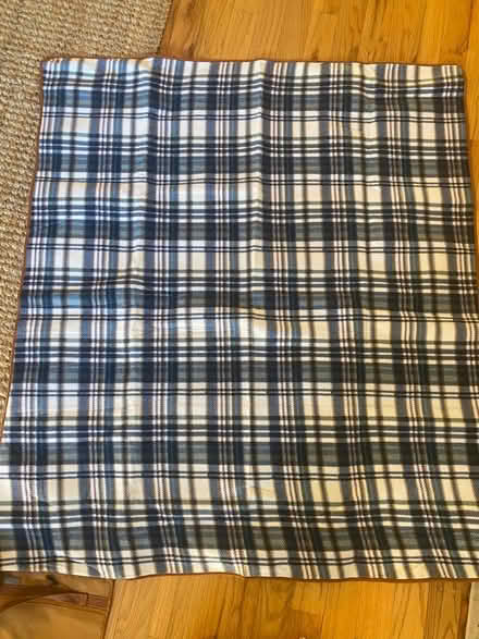 Photo of free Blanket tote / outdoor blanket (Bedstuy, Brooklyn) #1