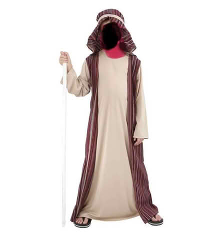 Photo of Shepards costume (Dun Laoighaire) #1