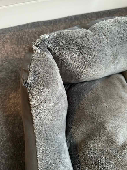 Photo of free Dog Bed (DE22) #3