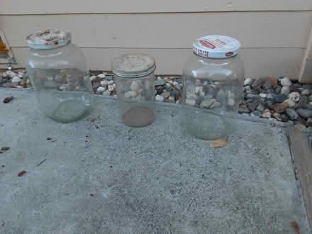 Photo of free Gallon & 2 Qt glass containers (San Rafael, CA) #1