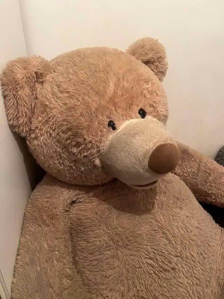 Photo of free Costco giant bear (Eltham SE9) #4