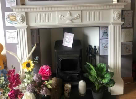 Photo of free Fire surround (South Belfast BT8) #1