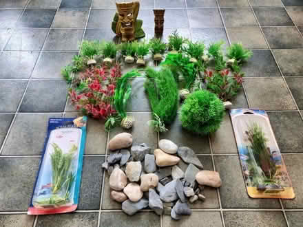 Photo of free Aquarium Decorations (Wotton Pitch GL2) #1