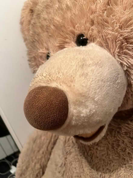 Photo of free Costco giant bear (Eltham SE9) #1