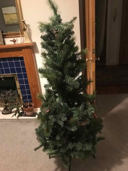Photo of free Christmas tree (Bryson Road) #1