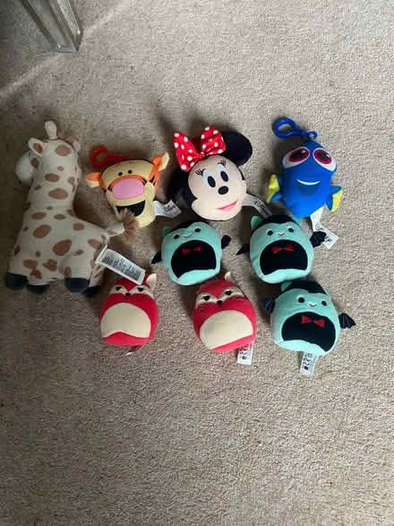 Photo of free Stuffed animal toys (L38) #1