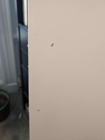 Photo of free IKEA PAX door 230x50 (Ewell Village KT17) #2