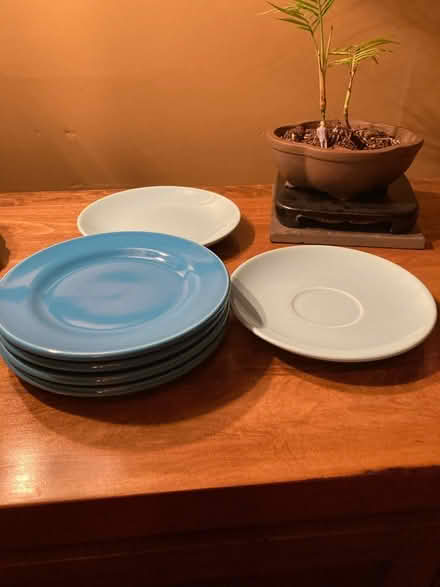Photo of free Syracuse China small plates (Mount Washington) #3
