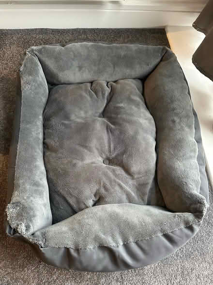 Photo of free Dog Bed (DE22) #1