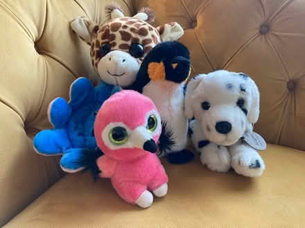 Photo of free Soft toy bundle (Cheltenham) #1