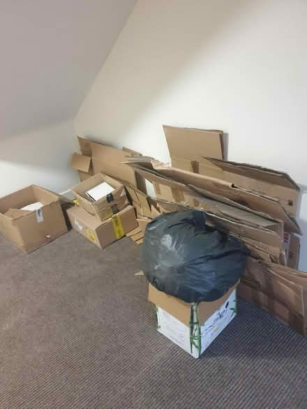 Photo of free Boxes (Anscombe Wood RH16) #1