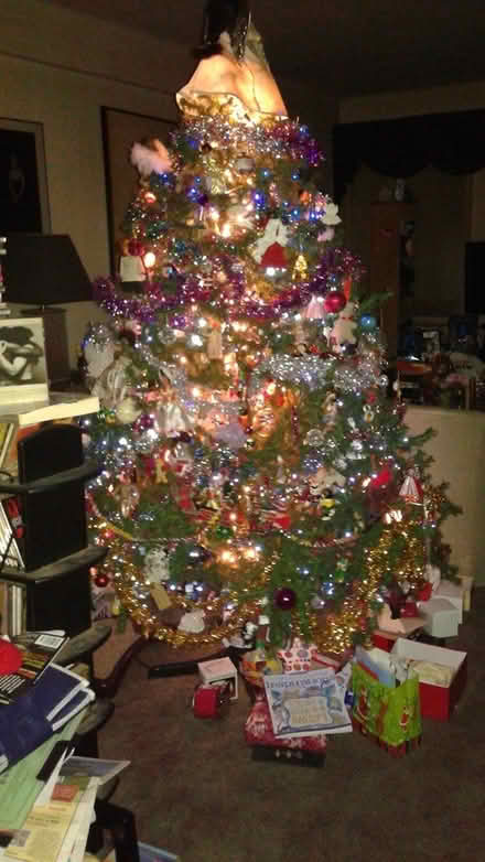 Photo of free 7' Christmas tree (Queens) #1