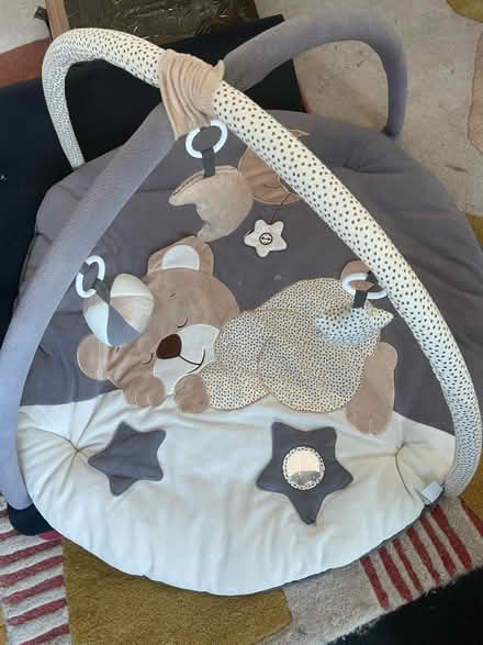Photo of free Baby play mat / gym - nearly new (SE18 Charlton/Woolwich) #1