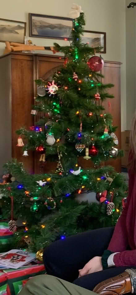 Photo of free Artificial Christmas tree (Upper Rockridge) #1