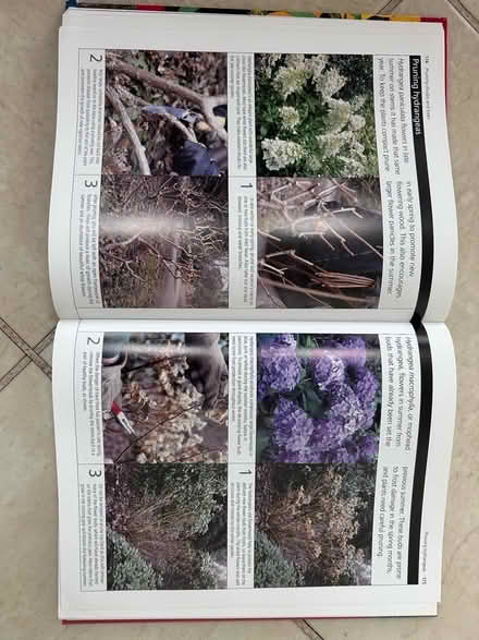 Photo of free The Gardeners Manual (Penicuik EH26) #2