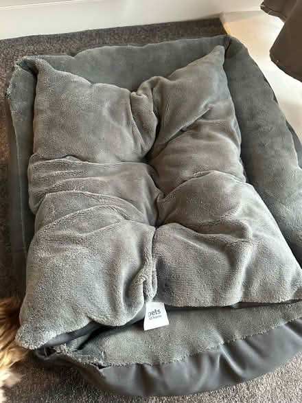 Photo of free Dog Bed (DE22) #4