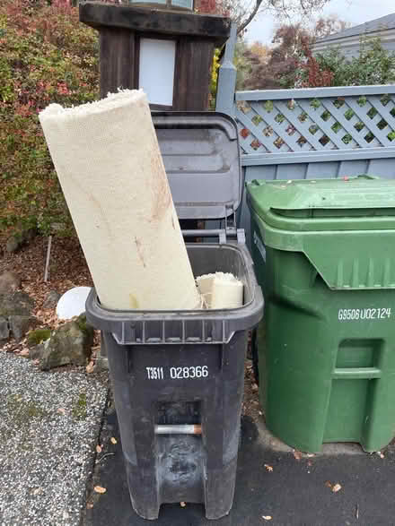 Photo of free Old carpet for garden (Los Gatos) #1