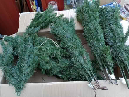 Photo of free 6 foot Christmas Tree (Shutford OX15) #3