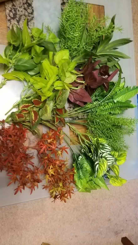 Photo of free Various fake plants (Woodley, RG5) #1