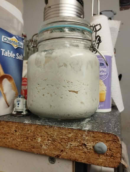 Photo of free Gluten free sourdough starter (Blackpool, FY1) #1