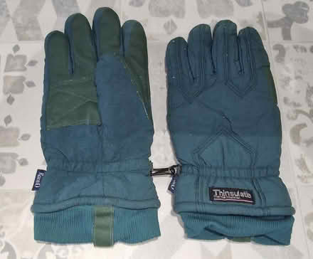 Photo of free Thinsulate Gloves, size L (Pickering YO18) #1