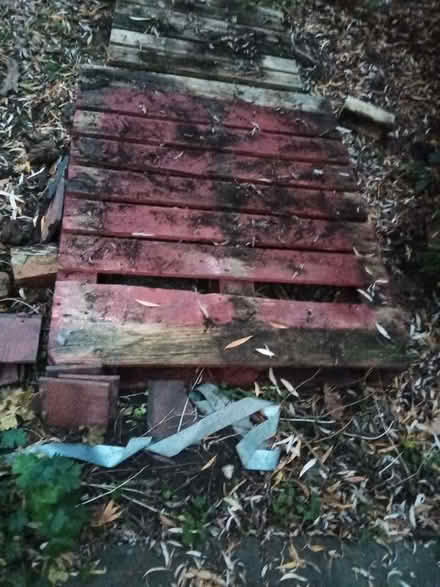 Photo of free Red treated pallet for garden/allotment (Withington M20) #1