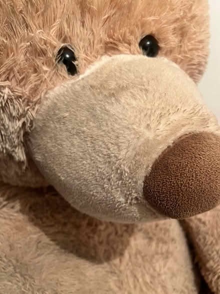 Photo of free Costco giant bear (Eltham SE9) #2