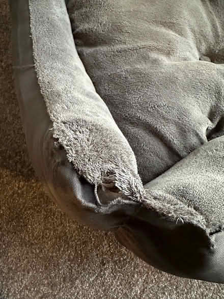 Photo of free Dog Bed (DE22) #2