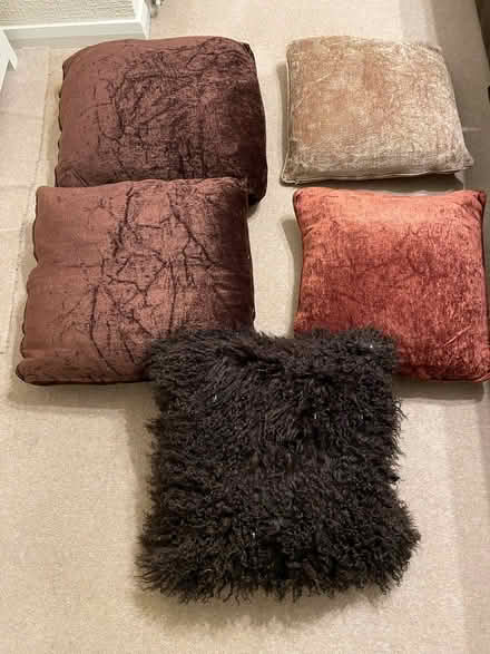 Photo of free 5 feather cushions (Gosforth NE3) #1