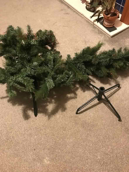 Photo of free Christmas tree (Bryson Road) #2