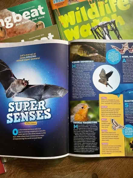 Photo of free Children’s wildlife magazines (Starbeck HG2) #1