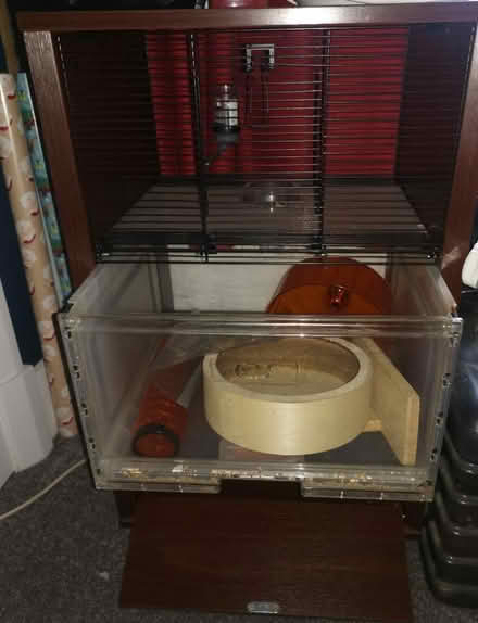 Photo of free Home for Hamster / Rats (TW8) #2