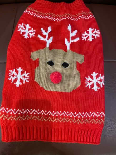 Photo of free Christmas dog sweater (Cupertino) #1