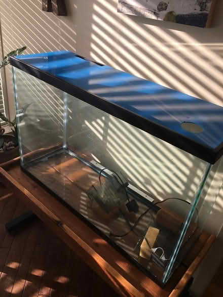 Photo of free aquarium (kanata area) #1