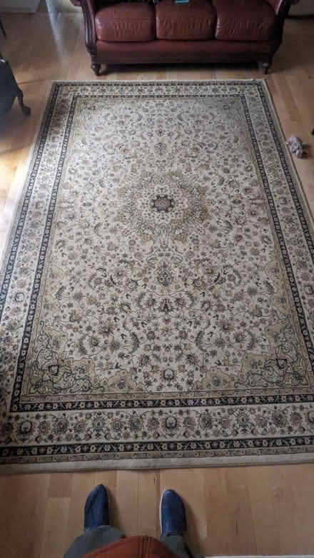 Photo of free 7'6"x11' rug (Exton/Chester springs) #3