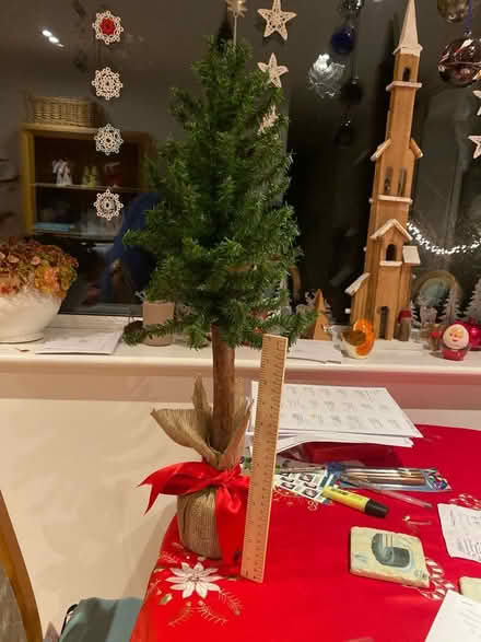 Photo of free Mini Christmas tree (GL3 Churchdown) #1