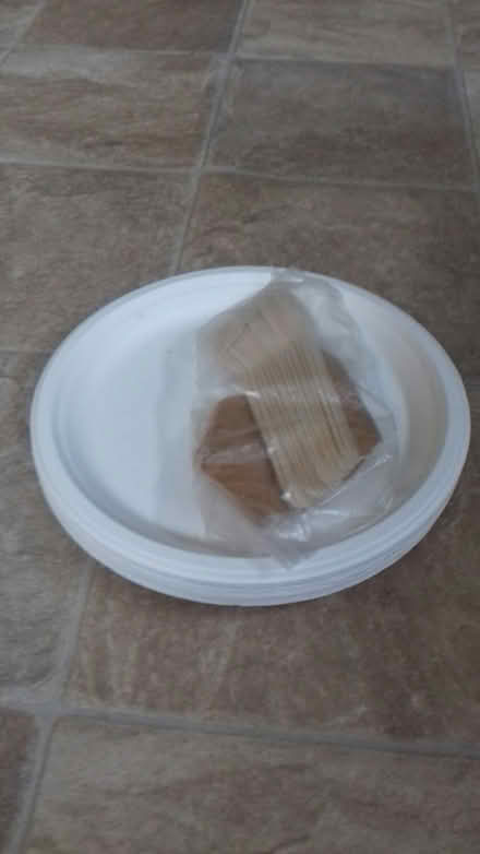 Photo of free Paper plates & wooden spoons (Ranton ST18) #1