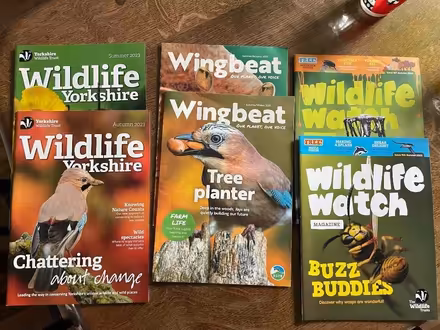 Photo of free Children’s wildlife magazines (Starbeck HG2) #2
