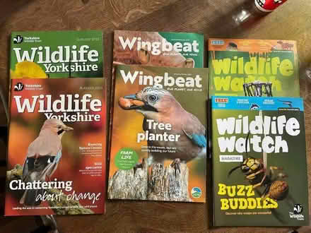 Photo of free Children’s wildlife magazines (Starbeck HG2) #2