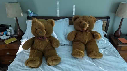 Photo of free Large teddy bear (Holy Corner EH10) #1