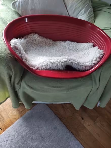 Photo of free Pet Bed (St Just TR19) #1