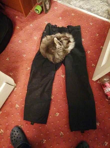 Photo of free Heavy duty water proof trousers (AB16) #1