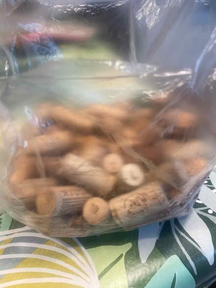 Photo of free Bag of corks (Palmers Green N13) #2