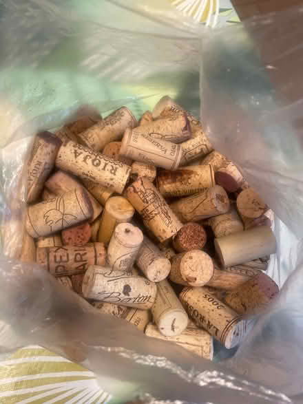 Photo of free Bag of corks (Palmers Green N13) #1